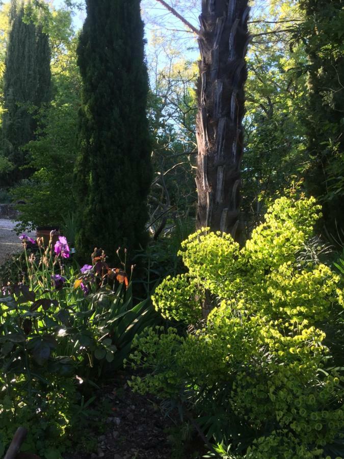 Domaine De Sautou Hotell Castanet  Eksteriør bilde